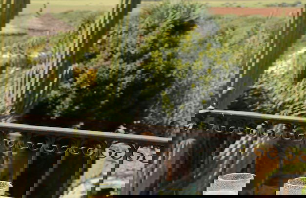 Hotel Rural Es Turó - Foto 18