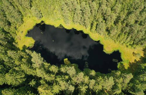 Wigierski Park Narodowy - Foto 54