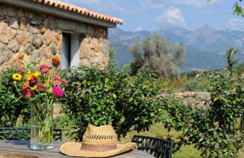 Clos Simoni - Foto 1