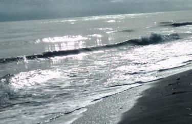 Un Nid Douillet en bord de plage !! - Foto 20