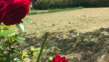 La maison des Sources - Foto 2