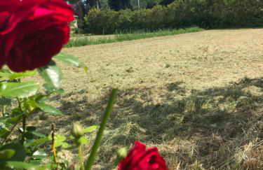 La maison des Sources - Foto 2