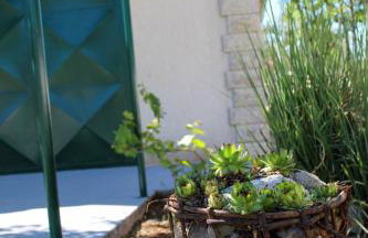 Mediterranean Olive WaterfallsKRKA-Croatia - Photo 6