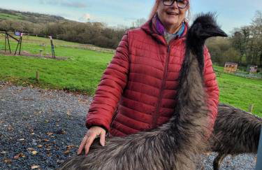 Charming pet friendly 2 bedroom cottage, close to Narberth & local beaches, friendly animals on our smallholding - Foto 27
