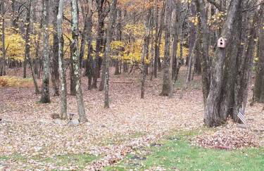 Serenity and Fun all in one in this Cozy Pocono Cabin - Foto 62