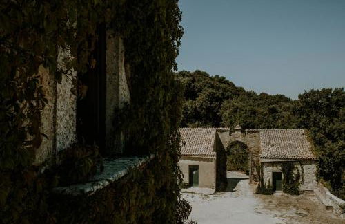 Abbazia Santa Maria del Bosco - Photo 130