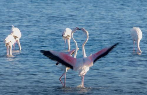 Home in nature - Foto 28