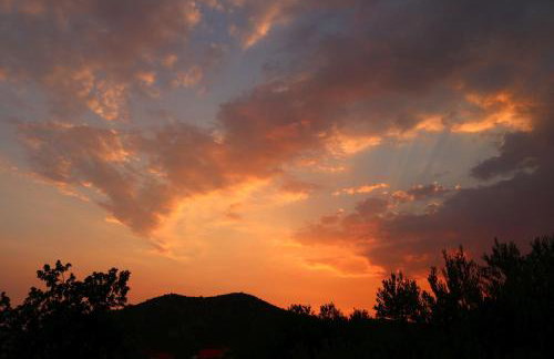 Kuća za odmor Lavanda - Photo 18