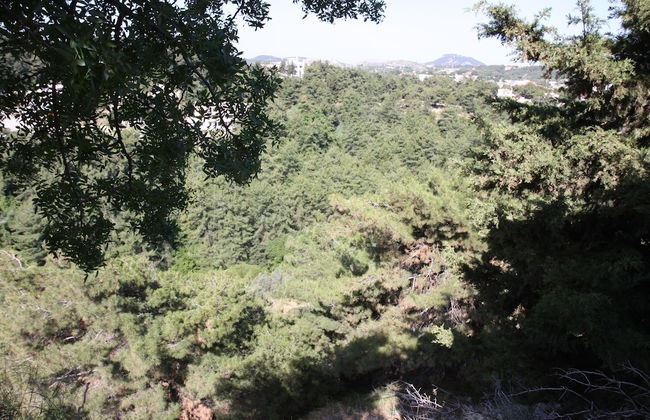 The Red Door in Koskinou - Photo 27