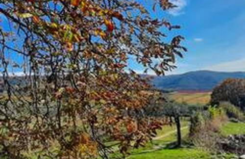 La Colombaia delle Bartaline - Foto 1