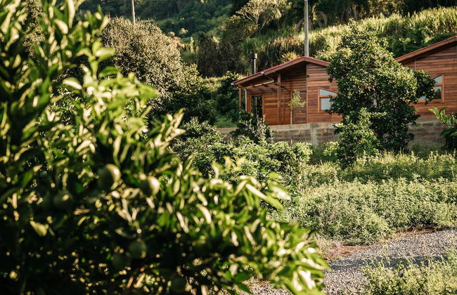 Pousada Vila Felicita - Foto 53