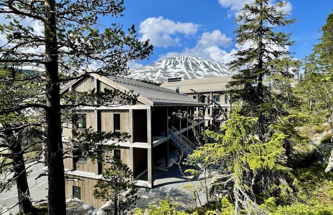 Gausta View - Photo 31