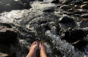 Sitio Vida - Foto 22