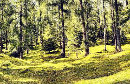 Casetta del Caregon a Vinigo - Photo 38