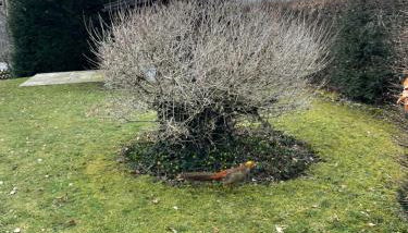 Alpen-Stadt Idylle - Foto 5