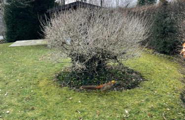 Alpen-Stadt Idylle - Foto 5