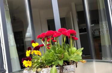 Haus Hanni - Foto 26