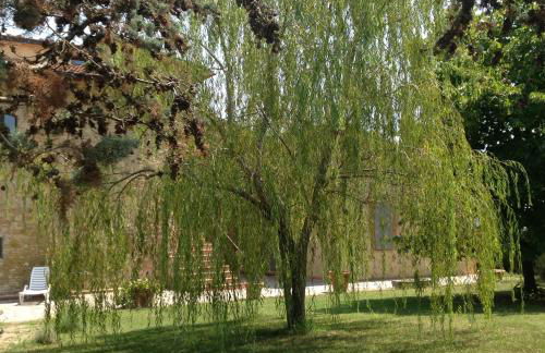 Teruzzi Country House - Foto 18