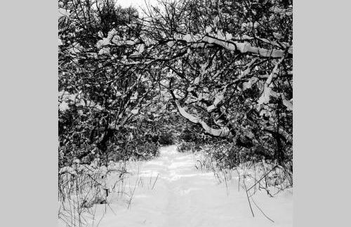 The Cottage - Hot Tub - nr Glasgow - self check-in - Foto 45