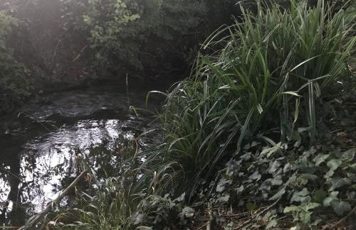 Gîte la Métairie Basse - Foto 13