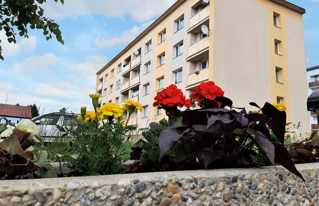 Helena Harrachov - Foto 27