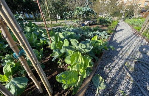 70's wood house - Foto 48