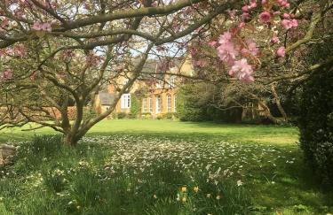 The Garden Room at the Manor - Foto 15