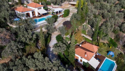 Elia Pilio Villas - Foto 4