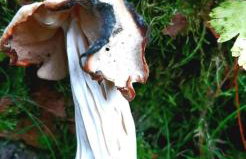 Kawalerka u Megi - Foto 19