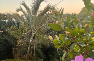 Caracol chácara completa privativa para casal e família - Foto 24