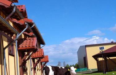 Pensjonat Przy Stajni - Foto 3