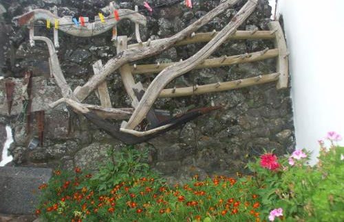 Adega do Batista - Photo 21