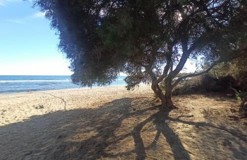 El Calon, mar y montaña - Foto 37