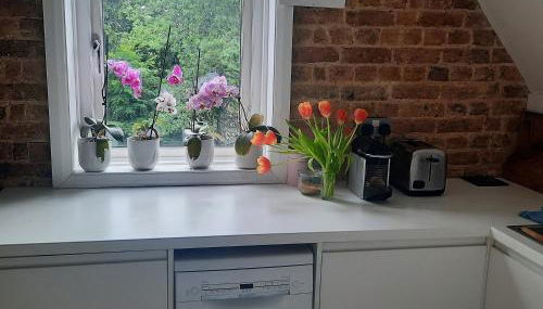 Beautiful flat, 30 min away from central London - Foto 5