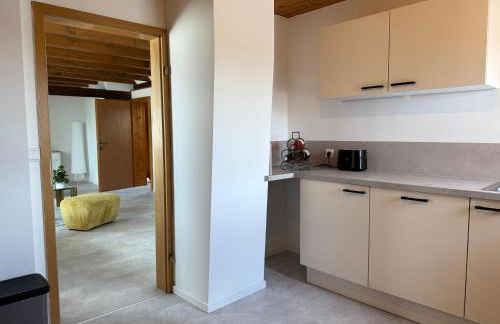 Rebenblick Dachsuite in historischem Gebäude aus 1840 - Foto 30