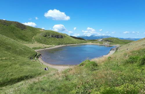 La Tana dei Tassi - Foto 18