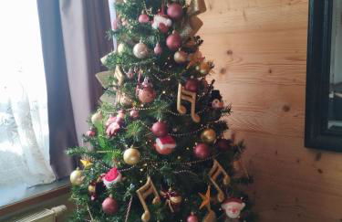 Le petit paradis au pied du Monte Blanco,jacuzzi privé, Rooftop,air de jeux - Foto 14