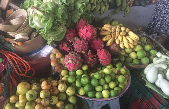 Excursión a León - Foto 7