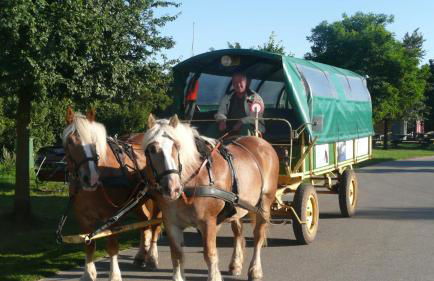 Ferienwohnung Nele - Foto 11