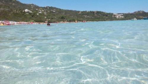 Lucky Apartment - Foto 1