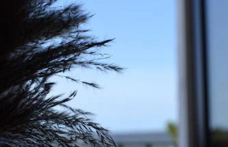 Masseria Medico di Maglie - Foto 13