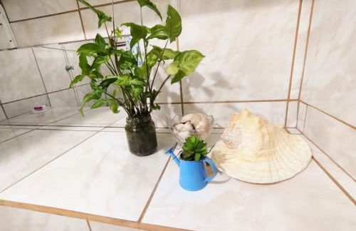 Floripa espaço independente com próx Centro e UFSC - Photo 28