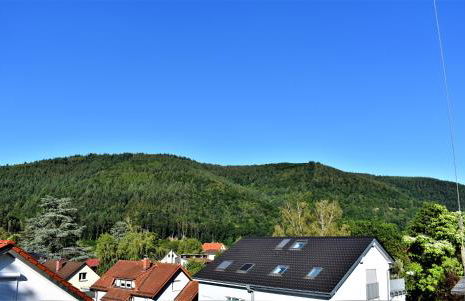 FVH Family Vacation Heidelberg - Foto 25