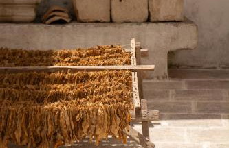 Corte Sant'Oronzo - Photo 6