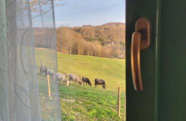 Kuća za odmor Borna - Foto 15