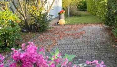 Schöne 2-Zi-Whg Küche Bad Terrasse Parken - Foto 4