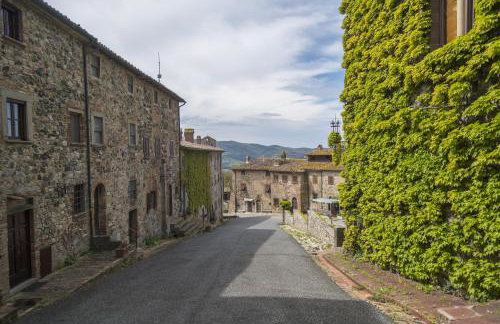 Castello Ginori Di Querceto - Foto 75