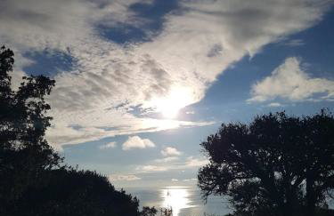 App Bonić - Foto 35