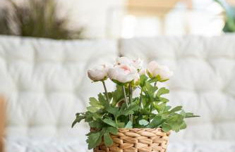 Kensho Haven of rest - Foto 31