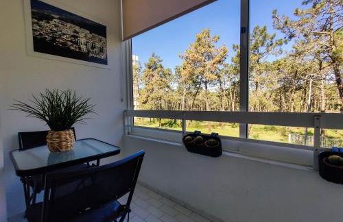 Bosque Marítimo - Foto 16